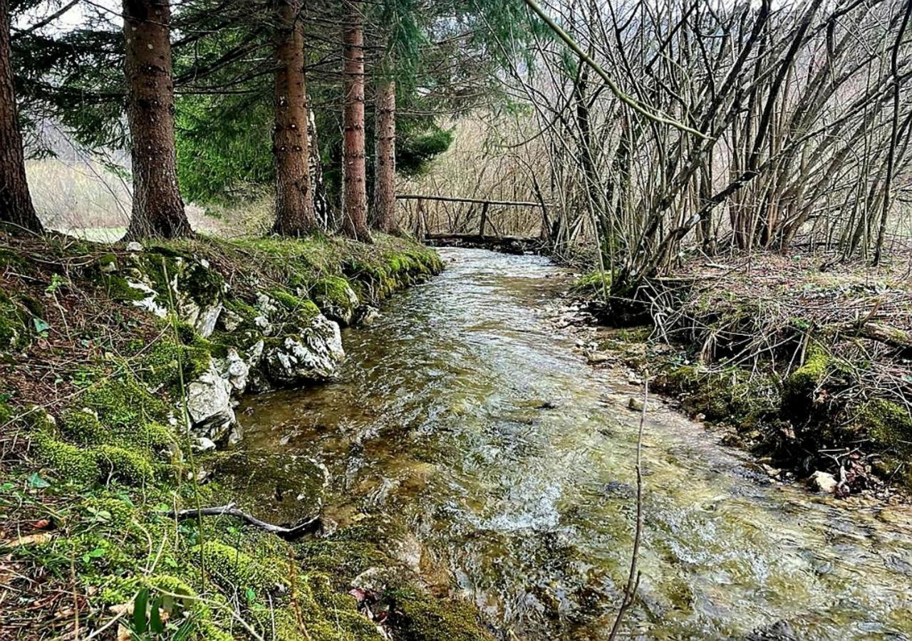 Villa Andjelija Plitvička Jezera Zewnętrze zdjęcie
