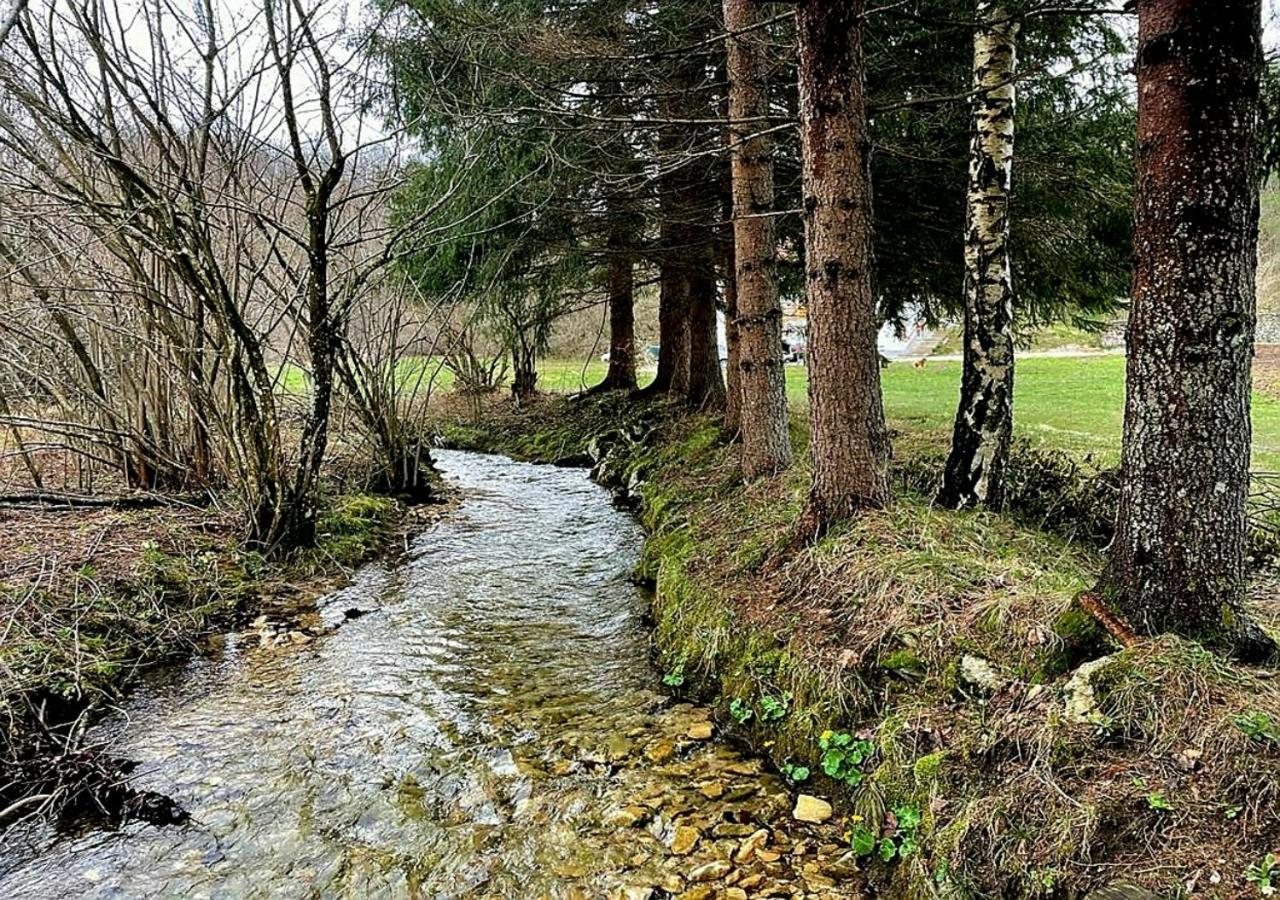 Villa Andjelija Plitvička Jezera Zewnętrze zdjęcie