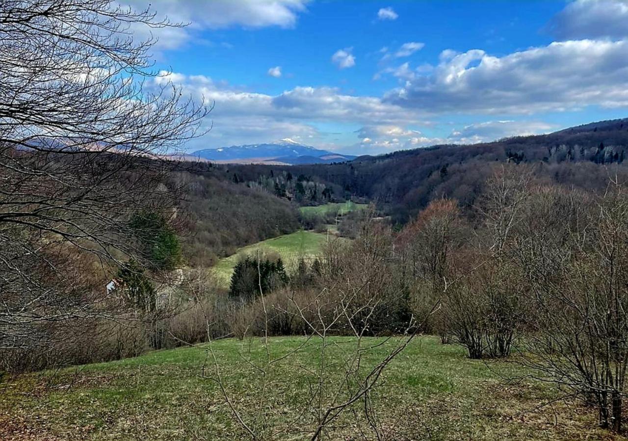 Villa Andjelija Plitvička Jezera Zewnętrze zdjęcie